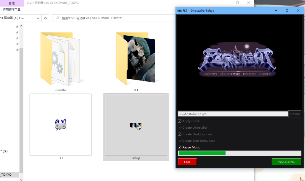 图片[3]-【游戏安装】FLT教程-宇宙游戏库